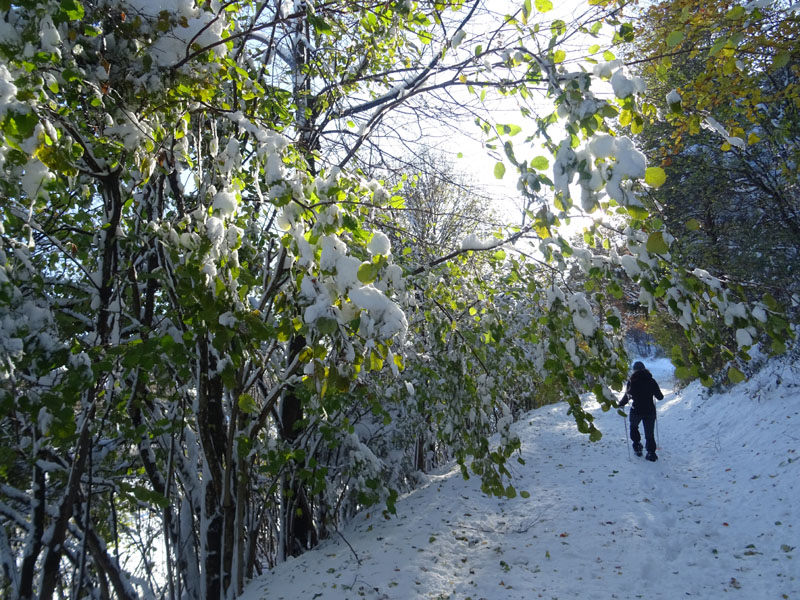 prime escursioni sulla neve....autunno  2019